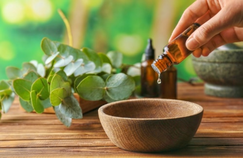 Los Beneficios de la Aromaterapia con Eucalipto